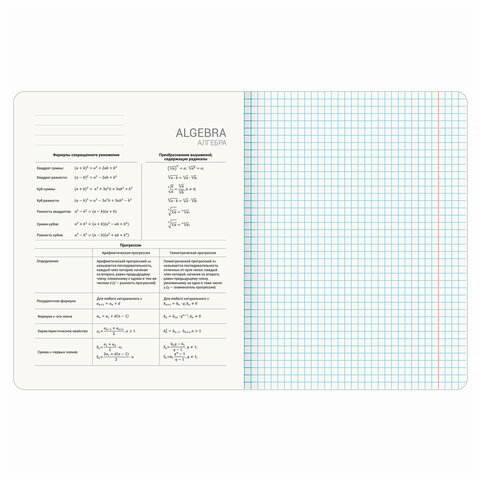 Тетради предметные, КОМПЛЕКТ 12 ПРЕДМЕТОВ, 48 л., TWIN лак, BRAUBERG "ASIA", 405174