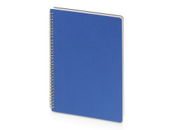 Бизнес-тетрадь А4 "Pragmatic", Цвет синий