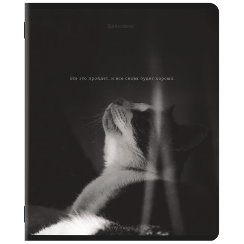 Тетради ДЭК А5 48 л. КОМПЛЕКТ 5 шт. BRAUBERG скоба, клетка, матовая ламинация, MOOD, 404955