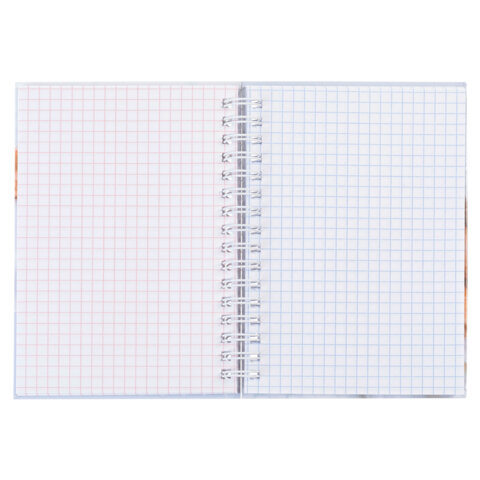 Блокнот МАЛЫЙ ФОРМАТ А6, 80 л., гребень, твердый картон, клетка 2 цв., HATBER, "Чарующая нежность", 082843, 80ЗКтд6В1гр_30