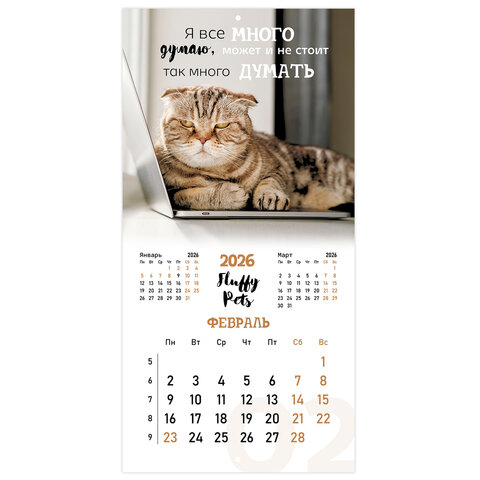Календарь настенный перекидной 2026 г., BRAUBERG, 12 листов, 28,5х28,5 см, "Милые котики", 116929