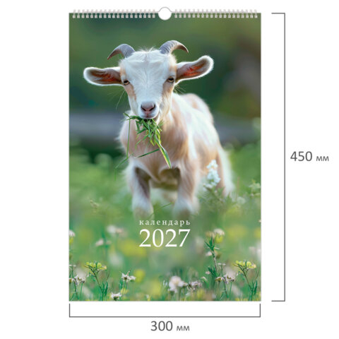 Календарь на гребне с ригелем 2027 г., 12 листов, 30x45 см, BRAUBERG, "Символ года", 118384