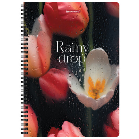 Тетради ДЭК А4 96 л. КОМПЛЕКТ 2 шт., BRAUBERG, гребень, клетка, 80 г/м2, SoftTouch, "Aesthetics", 405586