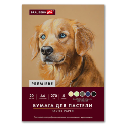 Бумага для пастели ФАКТУРНАЯ, А4, в папке, 20 листов, 5 цветов, 270 г/м2, BRAUBERG ART, 117755