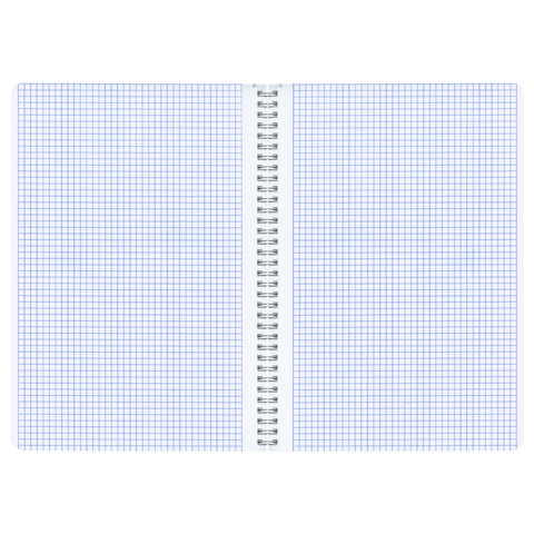 Тетради ДЭК А4 96 л. КОМПЛЕКТ 2 шт. BRAUBERG гребень, клетка, матовая ламинация, "Пастель_3", 404885