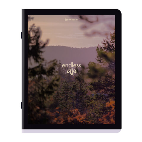 Тетради ДЭК А5 48 л. КОМПЛЕКТ 5 шт. BRAUBERG скоба, клетка, матовая ламинация, "Природа", 404954