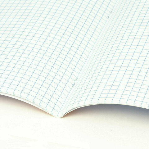 Тетрадь А5 48 л. BRAUBERG скоба, клетка, выборочный лак, кросс-серия МИЛЫЕ КОТЫ, 405193