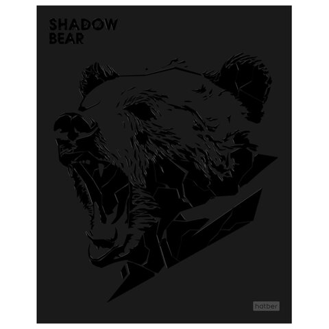 Тетрадь А5 48л. HATBER скоба, клетка, матовая ламинация, 3D лак, Shadow (микс в спайк, 48Т5лолВ1