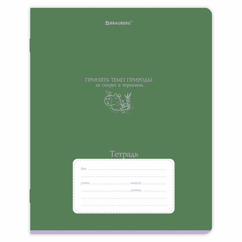 Тетради ДЭК 12 л., КОМПЛЕКТ 10 шт., BRAUBERG, косая линия, обложка картон, "PHRASES", 107328