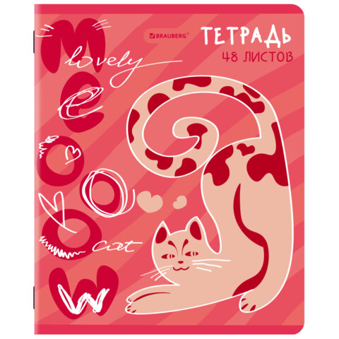 Тетради ДЭК А5 48 л. КОМПЛЕКТ 5 шт. BRAUBERG, скоба, клетка, TWIN-лак, "PINK MOOD", 404930