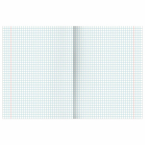 Тетради предметные, КОМПЛЕКТ 13 ПРЕДМЕТОВ, 36 л., обложка мелованная бумага, BRAUBERG, "КОЛОР", 405161