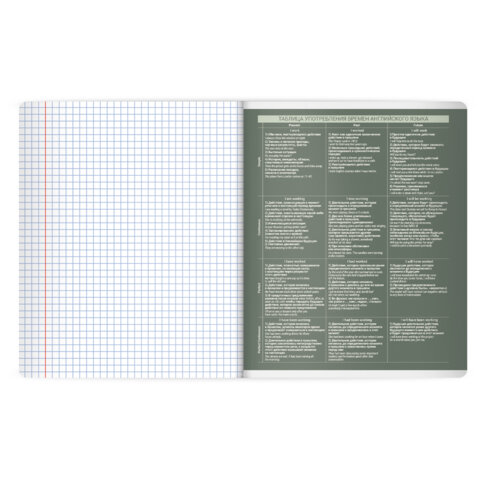 Тетрадь предметная MonoPastel 48л, пластиковая обложка, АНГЛИЙСКИЙ ЯЗЫК, клетка, подсказ, BRAUBERG, 405503