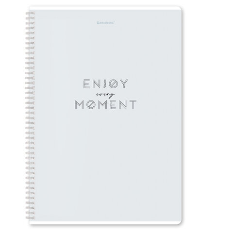 Тетради ДЭК А4 96 л. КОМПЛЕКТ 2 шт. BRAUBERG гребень, клетка, матовая ламинация, "Пастель_2", 404884