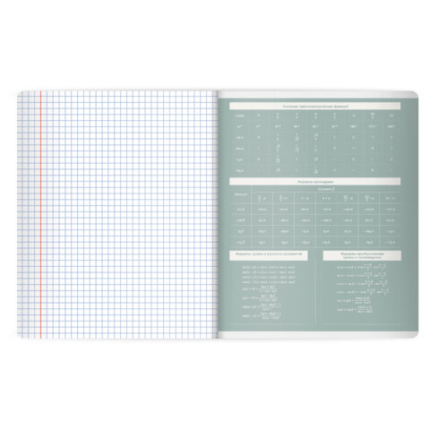 Тетрадь предметная MonoPastel 48л, пластиковая обложка, АЛГЕБРА, клетка, подсказ, BRAUBERG, 405501