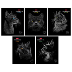 Тетрадь А5, 48 л., HATBER, скоба, клетка, матовая ламинация, 3D-лак, "Black Cat" (микс в спайке), 093159, 48Т5лолВ1