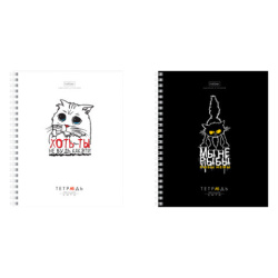 Тетрадь А5 80л. HATBER гребень, клетка, обложка картон, Проект Капланопись_Выпуск №2 (микс), 090633, 80Т5В1гр