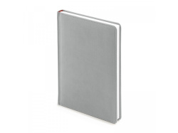 Ежедневник недатированный А5 «Velvet», Размер A5, Цвет серебристый