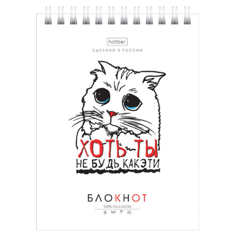 Блокнот МАЛЫЙ ФОРМАТ А6, 40 л., гребень, картон, клетка, HATBER, "Муркомания", 090640, 40Б6В1гр