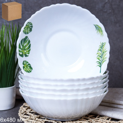 Набор суповых тарелок 6 штук 480 мл 155 мм / TW-60XN (7242) /уп 12/ Монстера