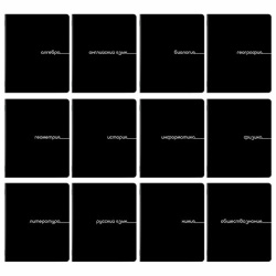 Тетради предметные, КОМПЛЕКТ 12 ПРЕДМЕТОВ, 48 л., обложка картон, BRAUBERG "BLACK", 405164