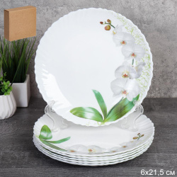 Набор тарелок 6 штук 215 мм / LHP-85XN (7415) /уп 8/ 748958