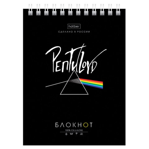 Блокнот МАЛЫЙ ФОРМАТ А6, 40 л., гребень, картон, клетка, HATBER, "Проект "Капланопись", 090639, 40Б6В1гр