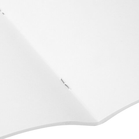 Блокнот для рисования, А4, 40 листов, скоба, обложка офсет, ПИФАГОР, 200х285 мм, "Аниме" (2 вида), 115247