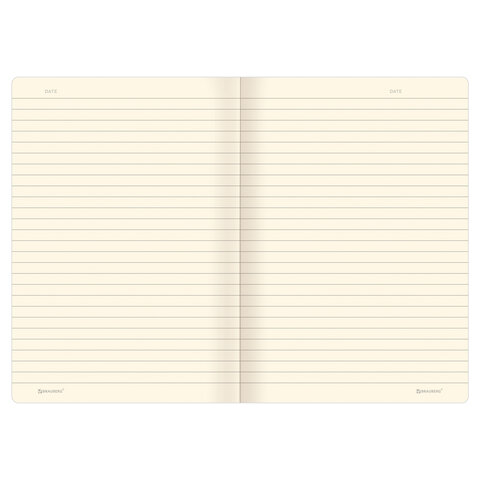 Тетрадь 40 л. в линию обложка SoftTouch, бежевая бумага 70 г/м2, сшивка, А5 (147х210 мм), ЛАПКА, BRAUBERG, 403795