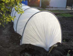 Парник с дугами металл в ПВХ 6 м.