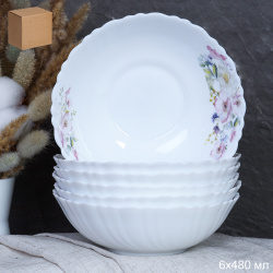 Набор суповых тарелок 6 штук 480 мл 155 мм / TW-60XN (7158) /уп 12/ Шиповник