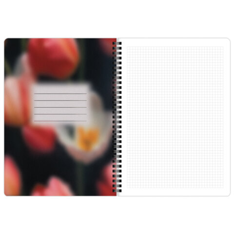 Тетради ДЭК А4 96 л. КОМПЛЕКТ 2 шт., BRAUBERG, гребень, клетка, 80 г/м2, SoftTouch, "Aesthetics", 405586