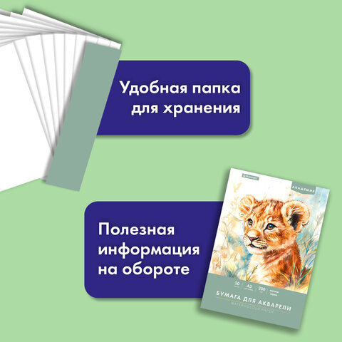 Папка для акварели БОЛЬШАЯ А3, 20 л., 200 г/м2, 297х420 мм, BRAUBERG АКАДЕМИЯ, "Львёнок", 117745