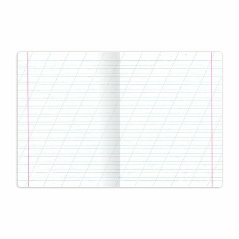 Тетради ДЭК 12 л., КОМПЛЕКТ 10 шт., BRAUBERG, косая линия, обложка картон, "PHRASES", 107328