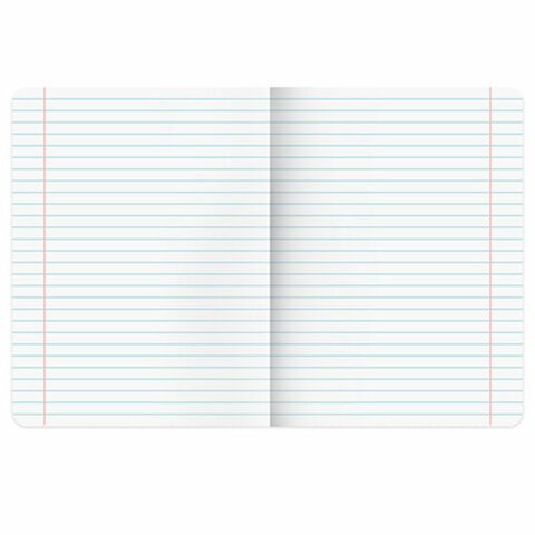 Тетради ДЭК 24 л., КОМПЛЕКТ 10 шт., BRAUBERG "КЛАССИКА", линия, обложка картон, АССОРТИ, 107096