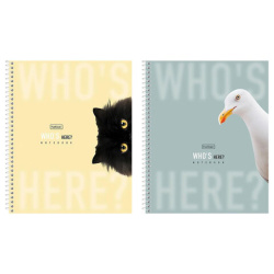 Тетрадь А5 96 л., HATBER, спираль, клетка, матовая ламинация, "Кто здесь?" (микс в спайке), 093670, 96Т5лВ1сп