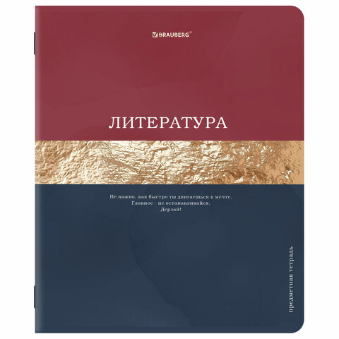 Тетради предметные, КОМПЛЕКТ 12 ПРЕДМЕТОВ, 48 л., матовая ламинация, фольга, BRAUBERG "GOLDY", 405178