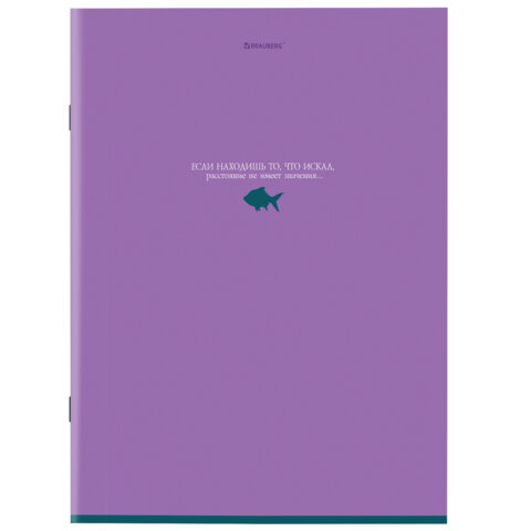 Тетради ДЭК А4, 96 л., КОМПЛЕКТ 3 шт., BRAUBERG, скоба, клетка, матовая ламинация, "Monocolor", 404655