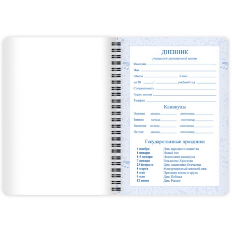 Дневник для музыкальной школы 48 листов, гребень, пластиковая обложка, картон, BRAUBERG, "Музыка", 107515