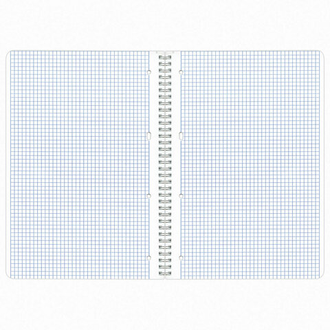 Тетради ДЭК А4 96 л. КОМПЛЕКТ 2 шт. BRAUBERG гребень, клетка, матовая ламинация, лак, NATURAL, 404648