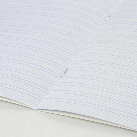 Тетради ДЭК 12 л. КОМПЛЕКТ 20 шт. BRAUBERG КЛАССИКА, частая косая линия, обложка картон, СИНЯЯ, 107075