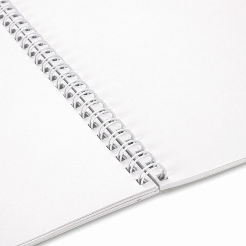 Альбомы для рисования ДЭК, А4, 40 л., КОМПЛЕКТ 2 шт., гребень, TWIN-лак, BRAUBERG, 200х290 мм, "Best Friends", 107750