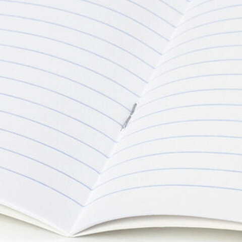 Тетради ДЭК 24 л., КОМПЛЕКТ 20 шт., BRAUBERG "КЛАССИКА", линия, обложка картон, ЧЕРНАЯ, 107098