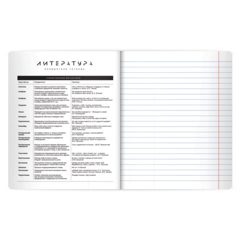 Тетрадь предметная BLACK MODE 48л, пластиковая обложка, ЛИТЕРАТУРА, линия, подсказ, BRAUBERG, 405522