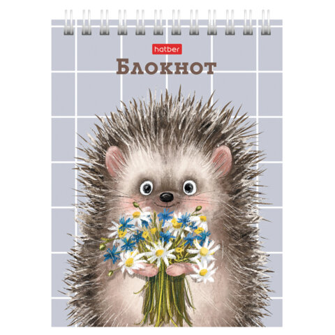 Блокнот МАЛЫЙ ФОРМАТ А6, 40 л., гребень, картон, клетка, HATBER, "Хорошо быть ёжиком", 080472, 40Б6В1гр