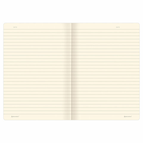 Тетради 40 л. в линию обложка SoftTouch, НАБОР 3 шт., бежевая бумага 70 г/м2, сшивка, А5 (147х210 мм), FLORA, BRAUBERG, 403798