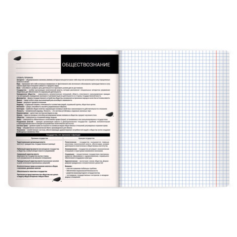 Тетрадь предметная КОТ-НЕПОСЕДА 48л, пластиковая обложка, ОБЩЕСТВОЗНАНИЕ, клетка, подсказ, BRAUBERG, 405528