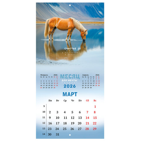 Календарь настенный перекидной 2026 г., BRAUBERG, 12 листов, 28,5х28,5 см, "Благородные лошади", 116932
