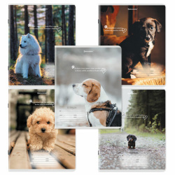 Тетради ДЭК 18 л. КОМПЛЕКТ 10 шт., BRAUBERG, клетка, обложка картон, Щеночки, 106758