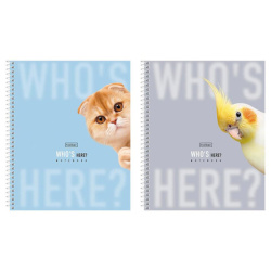 Тетрадь А5 96л. HATBER спираль, линия, матовая ламинация, Кто здесь? (микс в спайке),, 96Т5лВ2сп