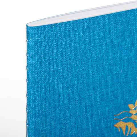 Тетрадь 60 л. в точку обложка кожзам под рогожку, сшивка, B5 (179х250мм), ГОЛУБОЙ, BRAUBERG BRIGHT, 403849